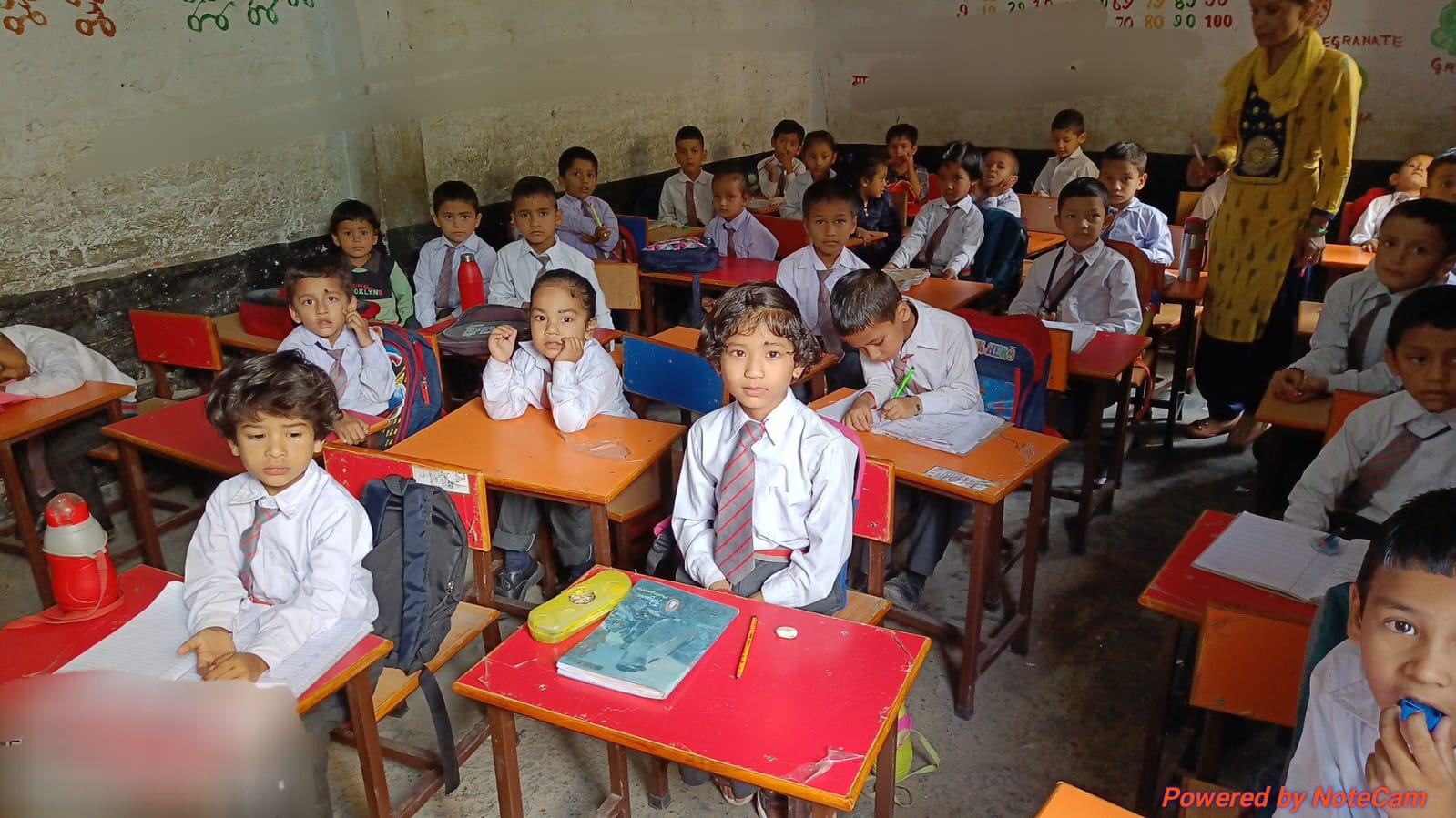 Classroom student dual desks and benches supplied to school